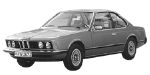 BMW E24 P335E Fault Code